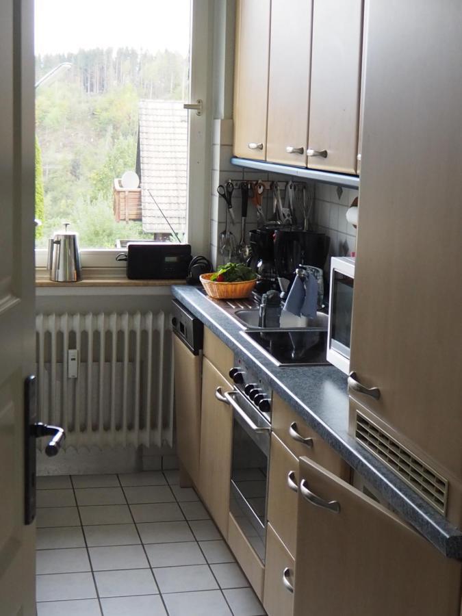 Ferienwohnung Am Kunstberg 29 Altenau (Lower-Saxony) Exterior foto