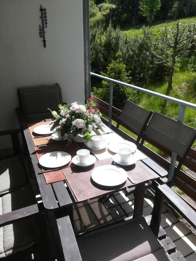 Ferienwohnung Am Kunstberg 29 Altenau (Lower-Saxony) Exterior foto